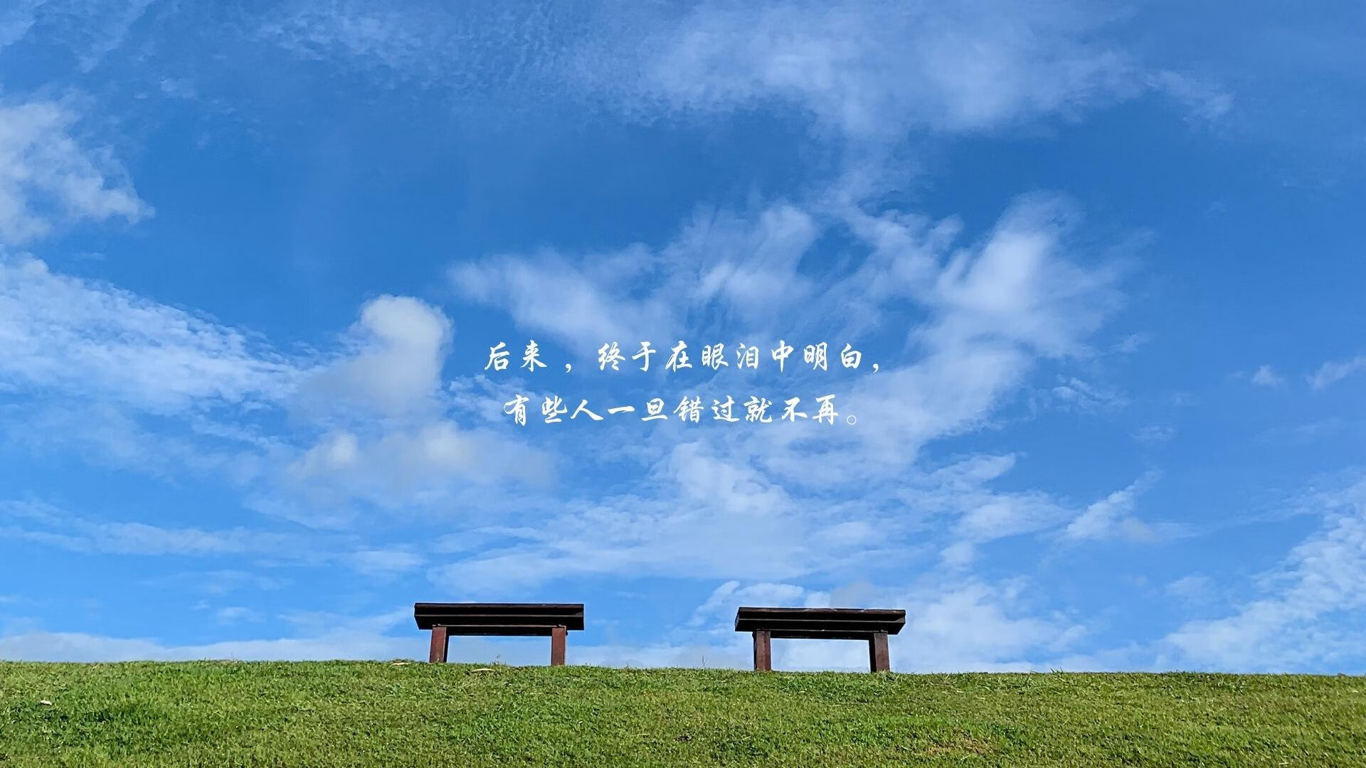 精准悬挂：避震系统的革命性变化，避震悬挂最好的汽车品牌