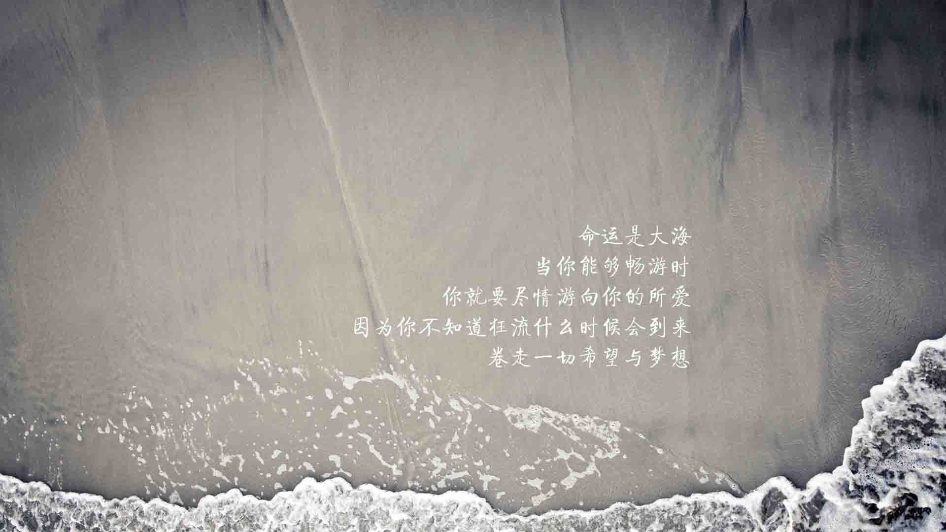 赛车运动中的女性力量崛起，女性赛车手