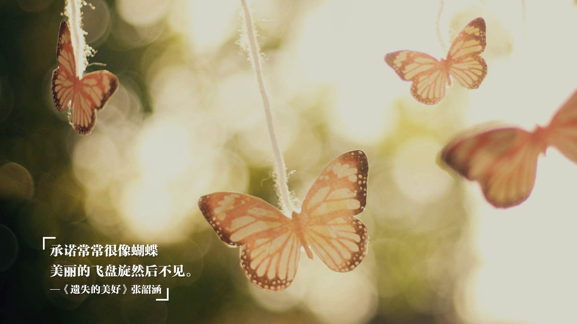 CBA球队教练员战术研究，cba的教练有多难