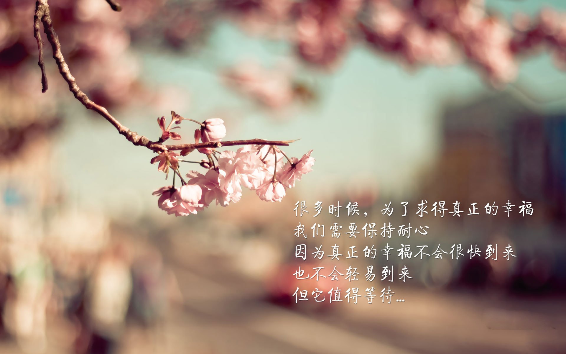 中甲联赛的俱乐部管理模式，中甲联赛的俱乐部管理模式是什么