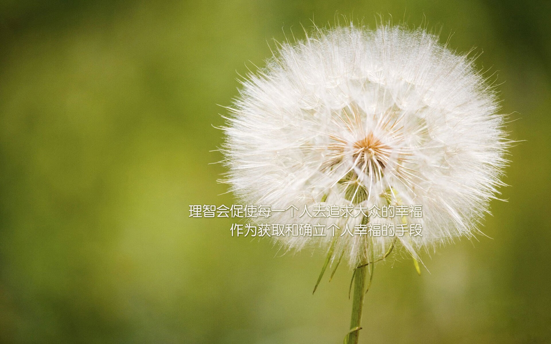 斯文登镇阵型严密，红军盼提升排名，斯文登对布流浪