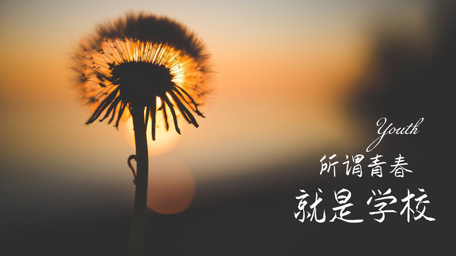 篮球运动员比赛表现评估技术，篮球赛表现最佳球员