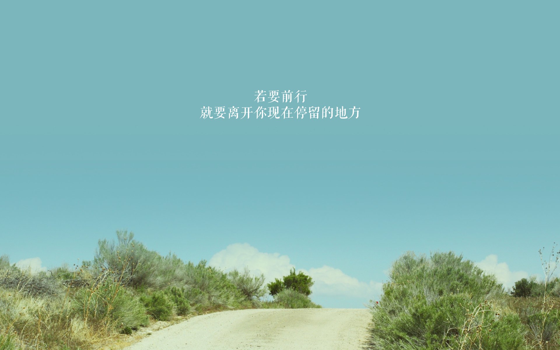 里奇·麦考的反应速度与体能让他成为不可忽视的盯防利器，麦考利卡尔奇
