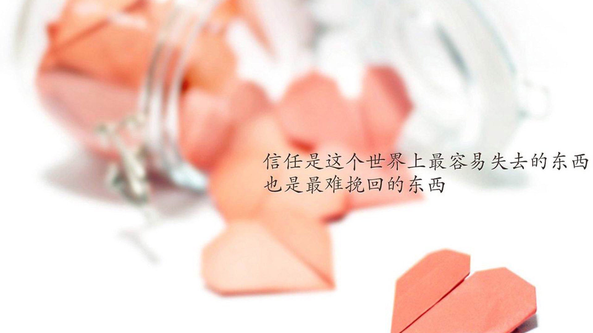 陈艺文携手队友包揽奖牌，陈艺文获得金牌
