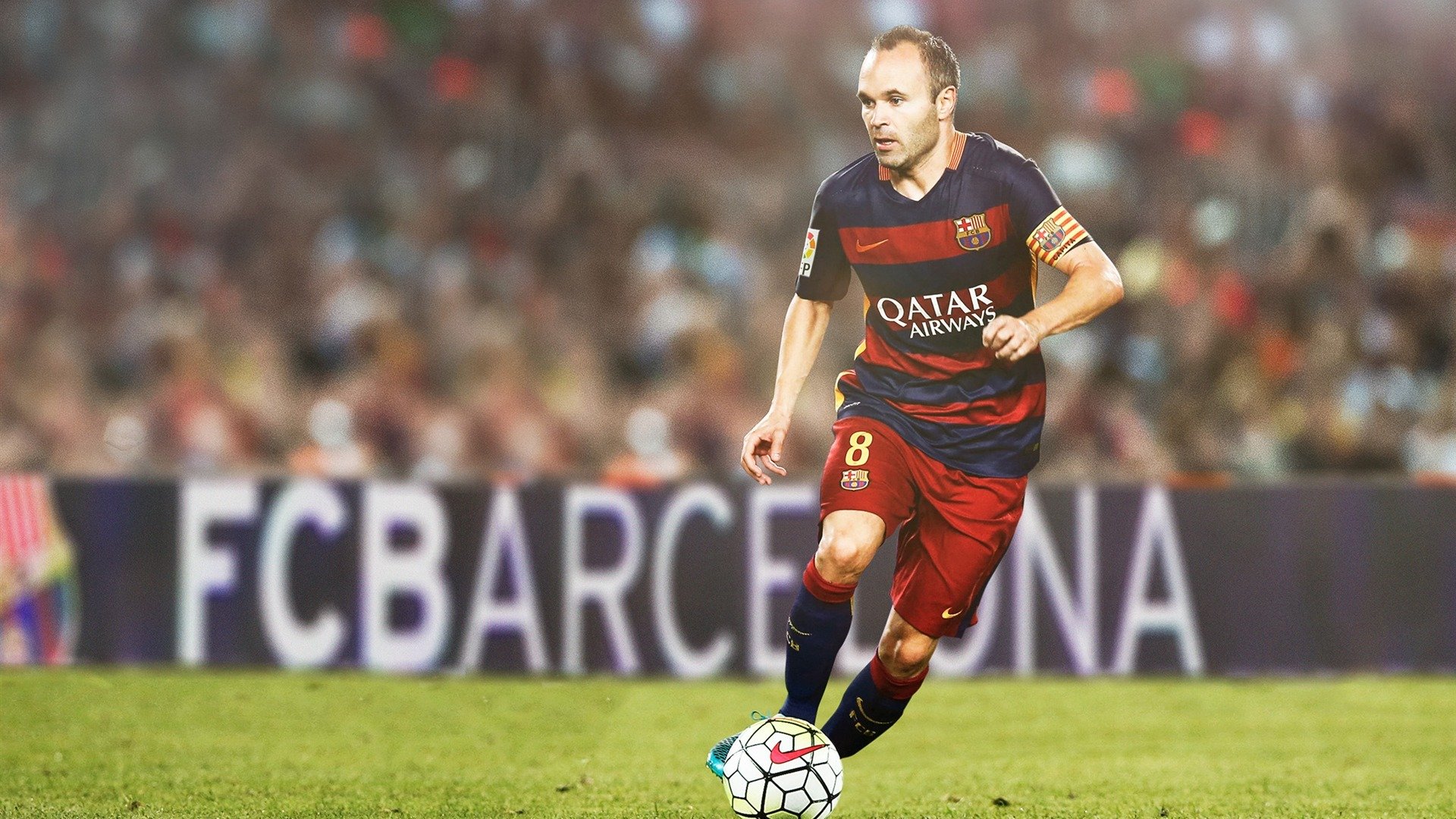 荷兰马术协会与澳大利亚马术协会签署人才交流协议，促进双向发展。