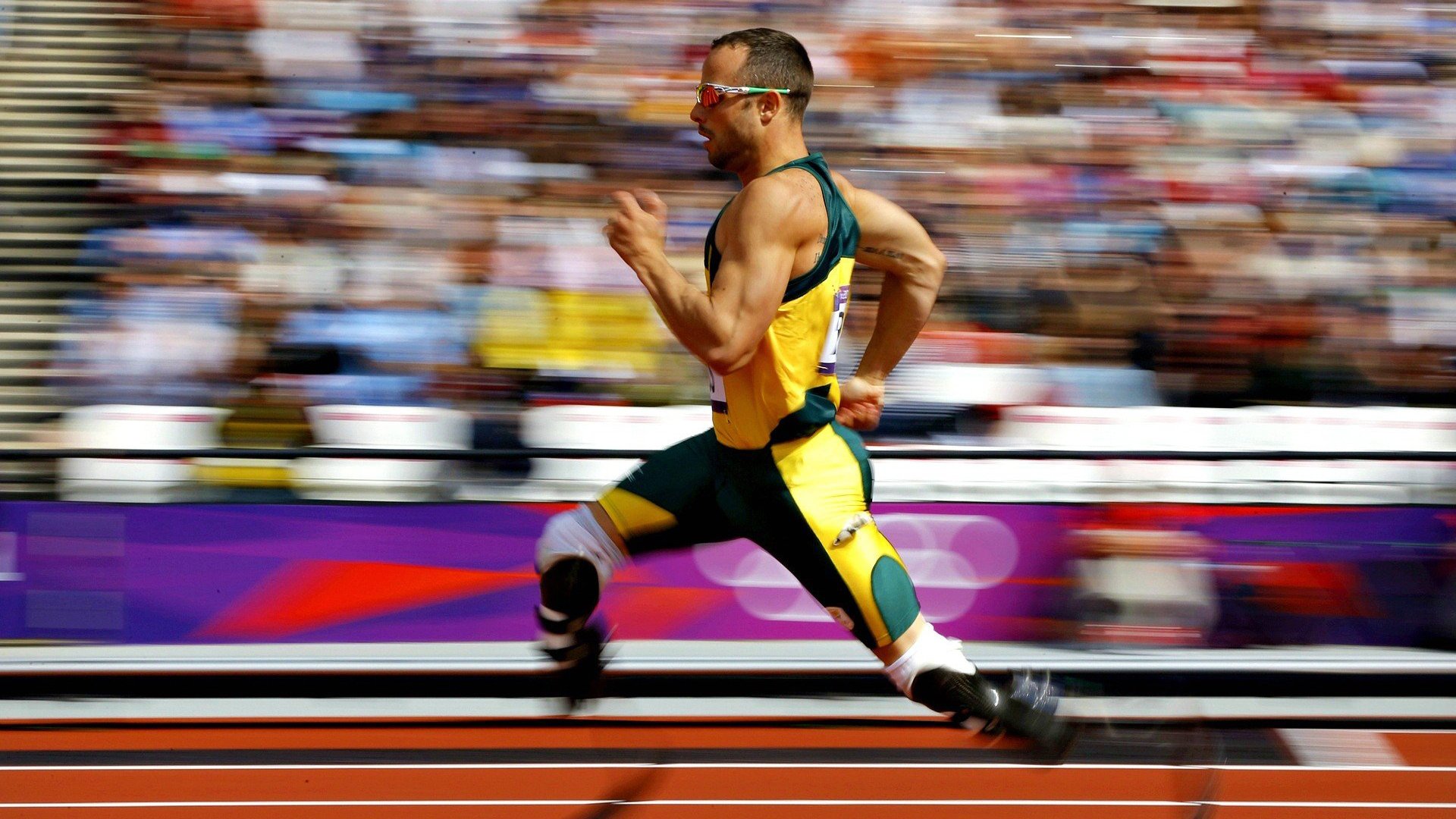 赛场新星：阿尔伯特的崛起之路，阿尔伯特在哪